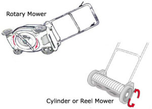 Rotary vs Reel Mower