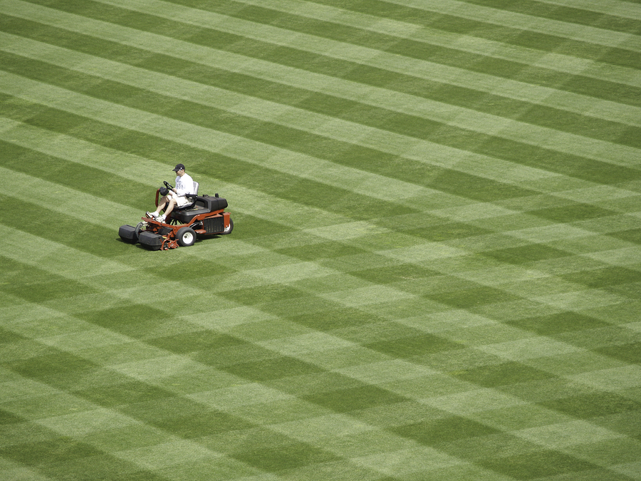 How to Mow the Lawn